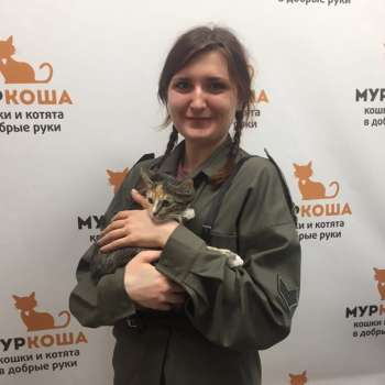 Котелла