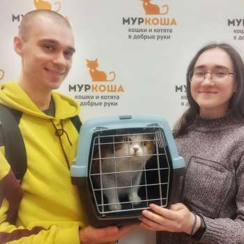 Крапинка 