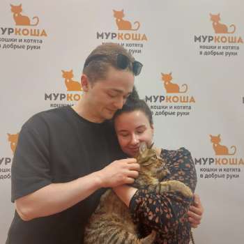Кристобаль