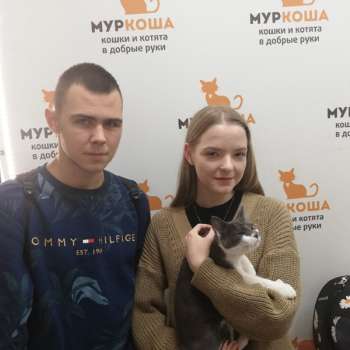 Крокса 