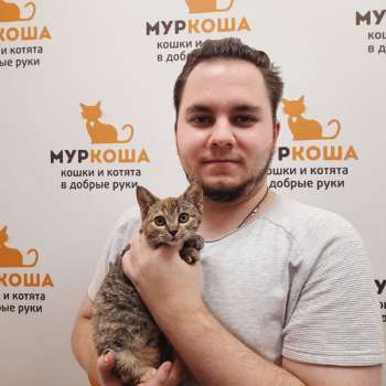 Купава 