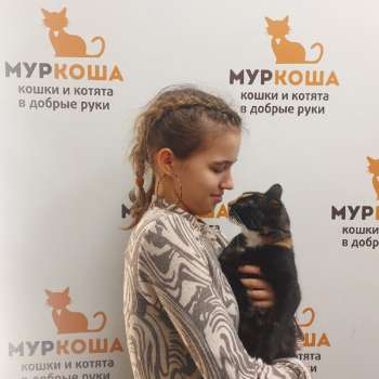 Кутуша 