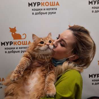 Кузьмин 