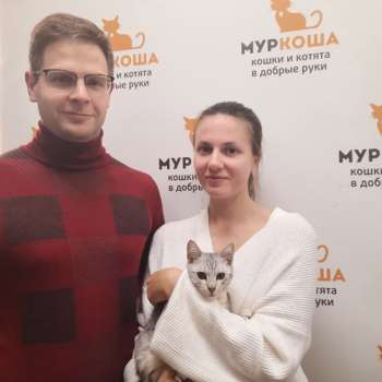 Леденец 