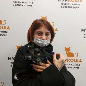 Ленточка