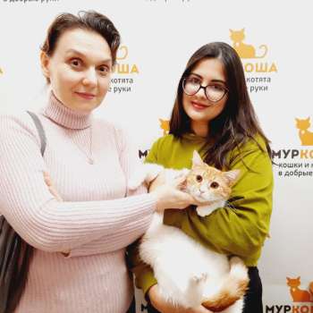 Липси 