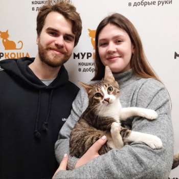 Локдаун 