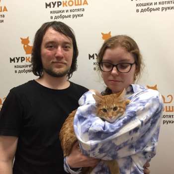 Ловелас 
