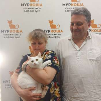 Люпин 