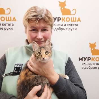 Магнолия 