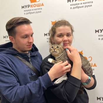 Македонский 