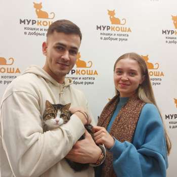 Мармеладис 