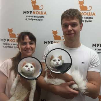 Марвел 