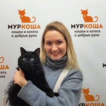 Мажорик 