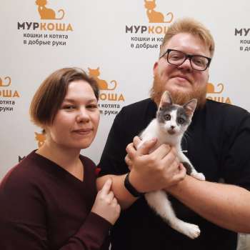 Медочек 