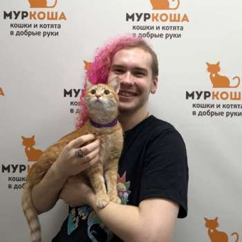Милочка 