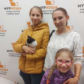Мини Купер