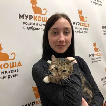 Мисси 