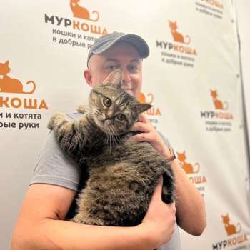 Мистикс 