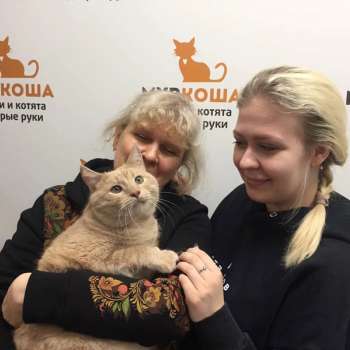 Митенька