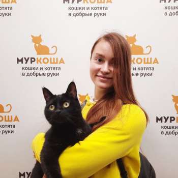 Мулатка 