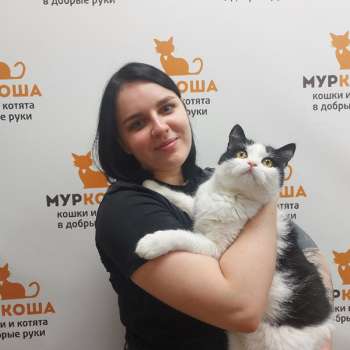 Мурзилкин 