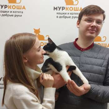 Мушик