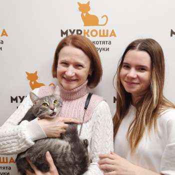 Нэвил 