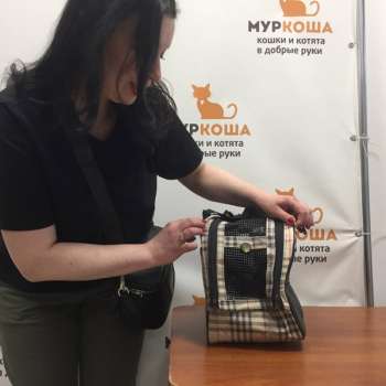 Норка 