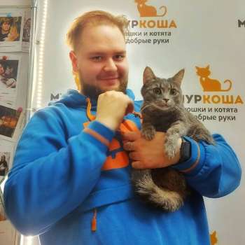 Новелла 