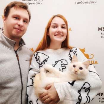 Омлетик 