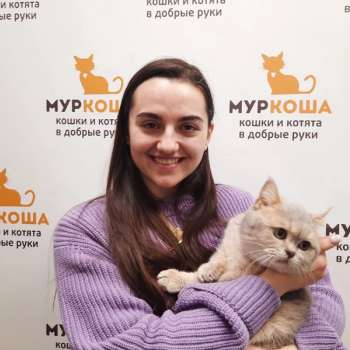 Пафик
