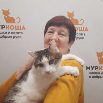 Пегас