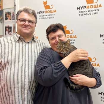 Пифагор 