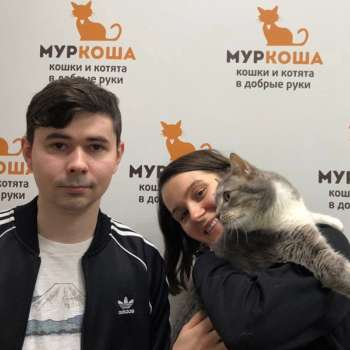 Пиклс 