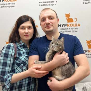 Пиратка