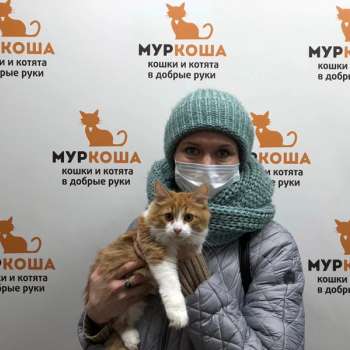 Плюш 