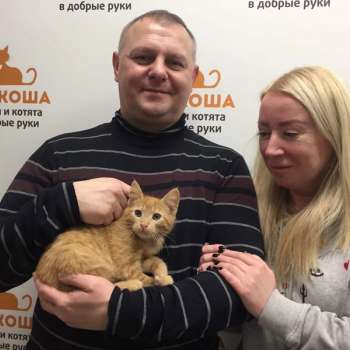 Позитивчик 