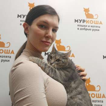 Прудик 