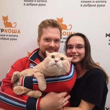 Птенчик 
