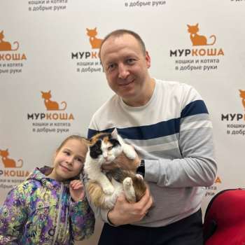 Пятнаша