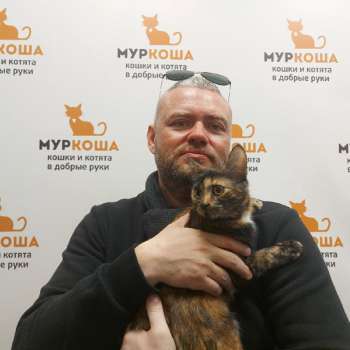 Бонаси