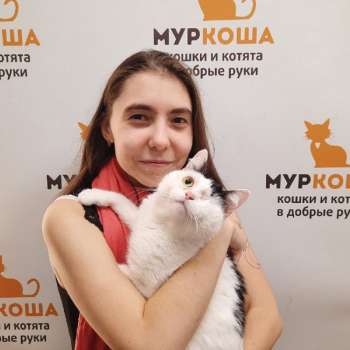 Рапсик