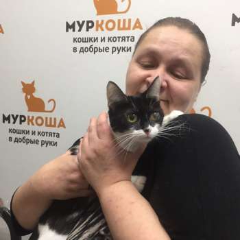 Ресничка