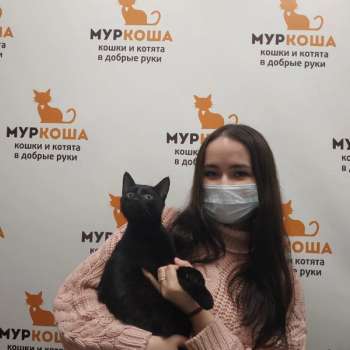 Ролли 
