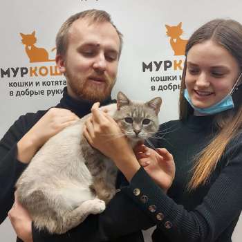Рожок
