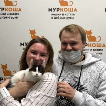 Розочка