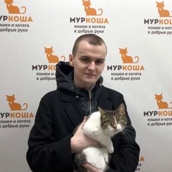 Руккола