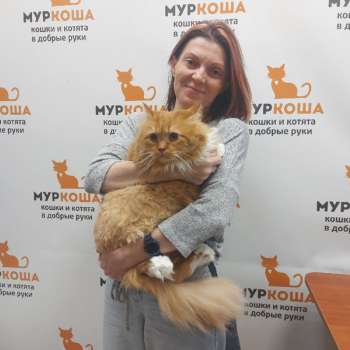 Рыжий Макс