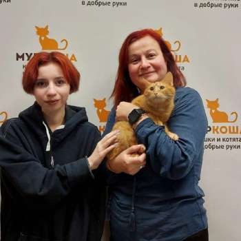 Рыжуня 